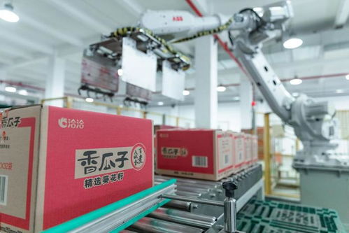 走進(jìn)洽洽透明工廠，看一顆堅果如何驅(qū)動陜西外貿(mào)新質(zhì)生產(chǎn)力